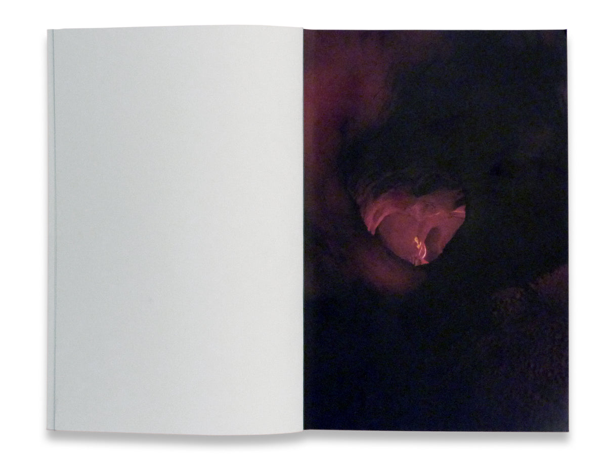 Ryan McGinley – Moonmilk | MÖREL Books