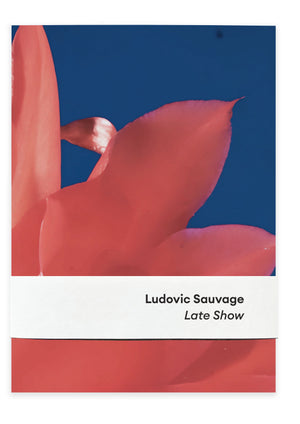 Ludovic Sauvage