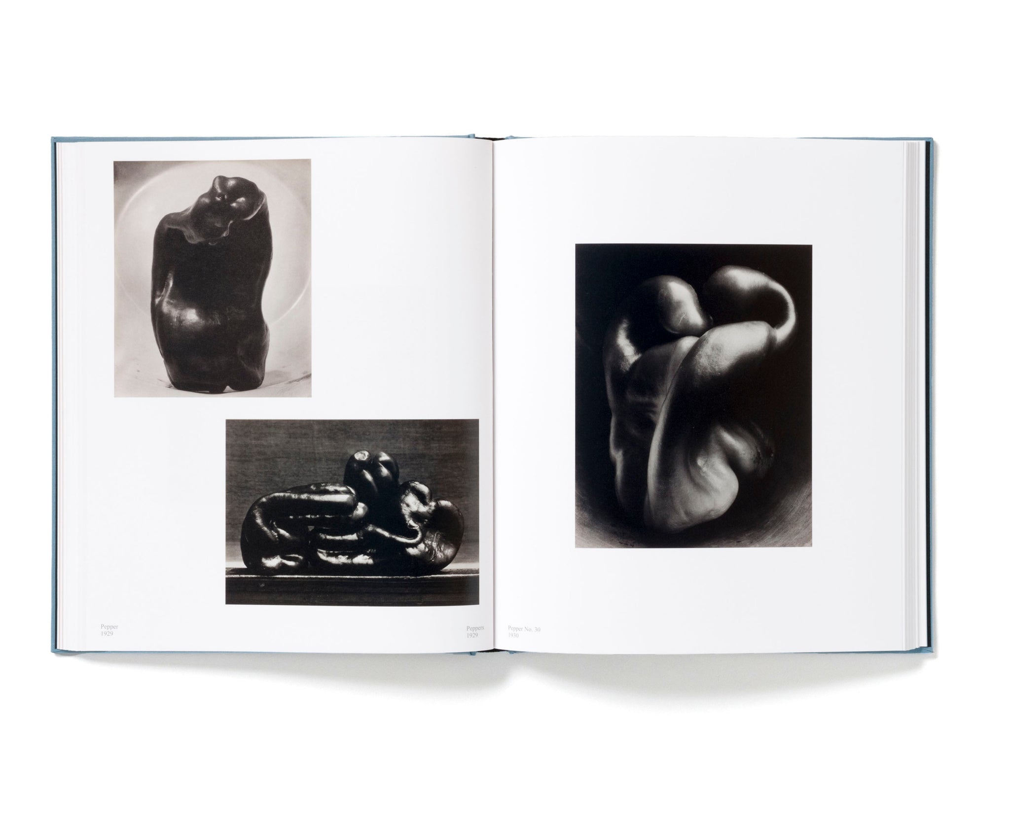Edward Weston – Becoming Modern | MÖREL Books